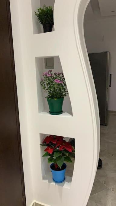 Shared Close To Airport Garden View مشترك بالقرب من المطار مطل على حديقة Apartamento